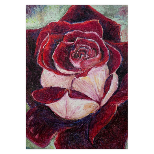 Pure and True Note Card. Artistic impressionist depiction of a red and white rose with a textured background. Original fine art by Cynthia Yolland.