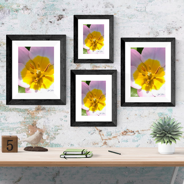 Center on Joy Printable Poster