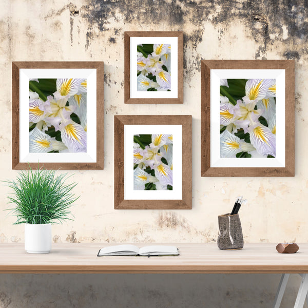 Perfect Pirouette Printable Poster