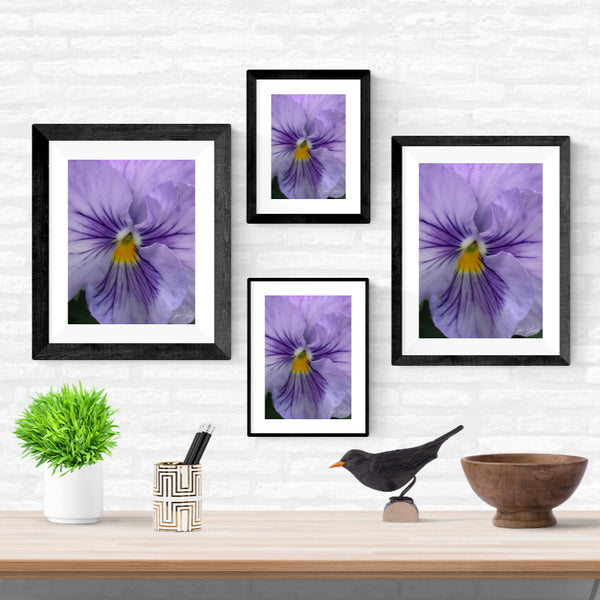 Simple Frills Printable Poster