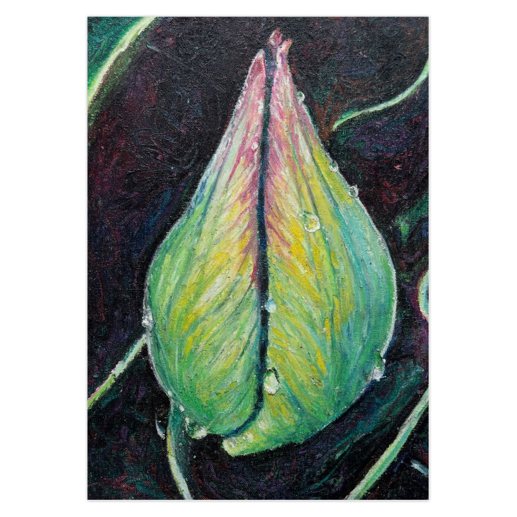 Artistic depiction of a unopened tulip blossom with vibrant colors on a dark background. Original art by Cynthia Yolland.