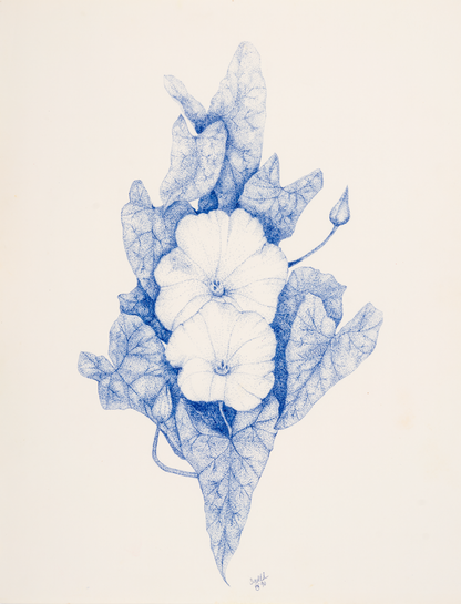 Morning Glory 1990 | Original Floral Fine Art Print