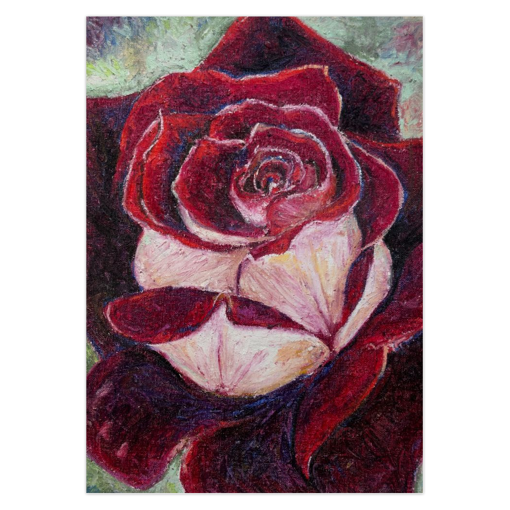 Pure and True Note Card. Artistic impressionist depiction of a red and white rose with a textured background. Original fine art by Cynthia Yolland.