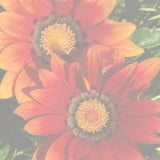 Together, We Can Do Anything