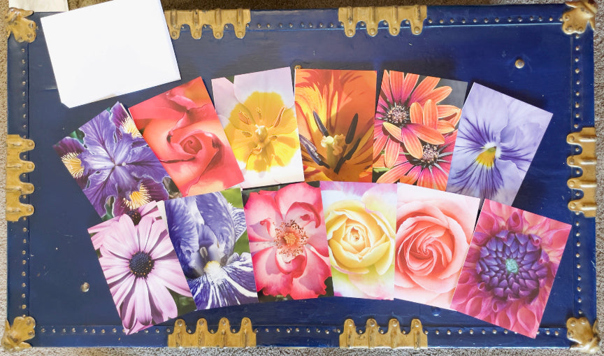 Spring Collection Note Cards