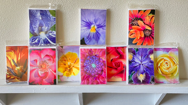 Spring Collection Note Cards